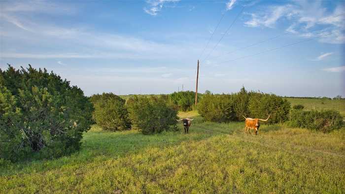 photo 20: Tract 1 46.5 Acres CR 101, Lampasas TX 76550