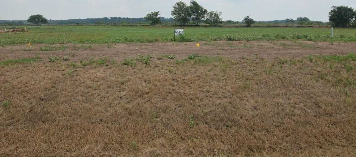 photo 1: Lot 11 Hydrangea Drive, Smithville TX 78957