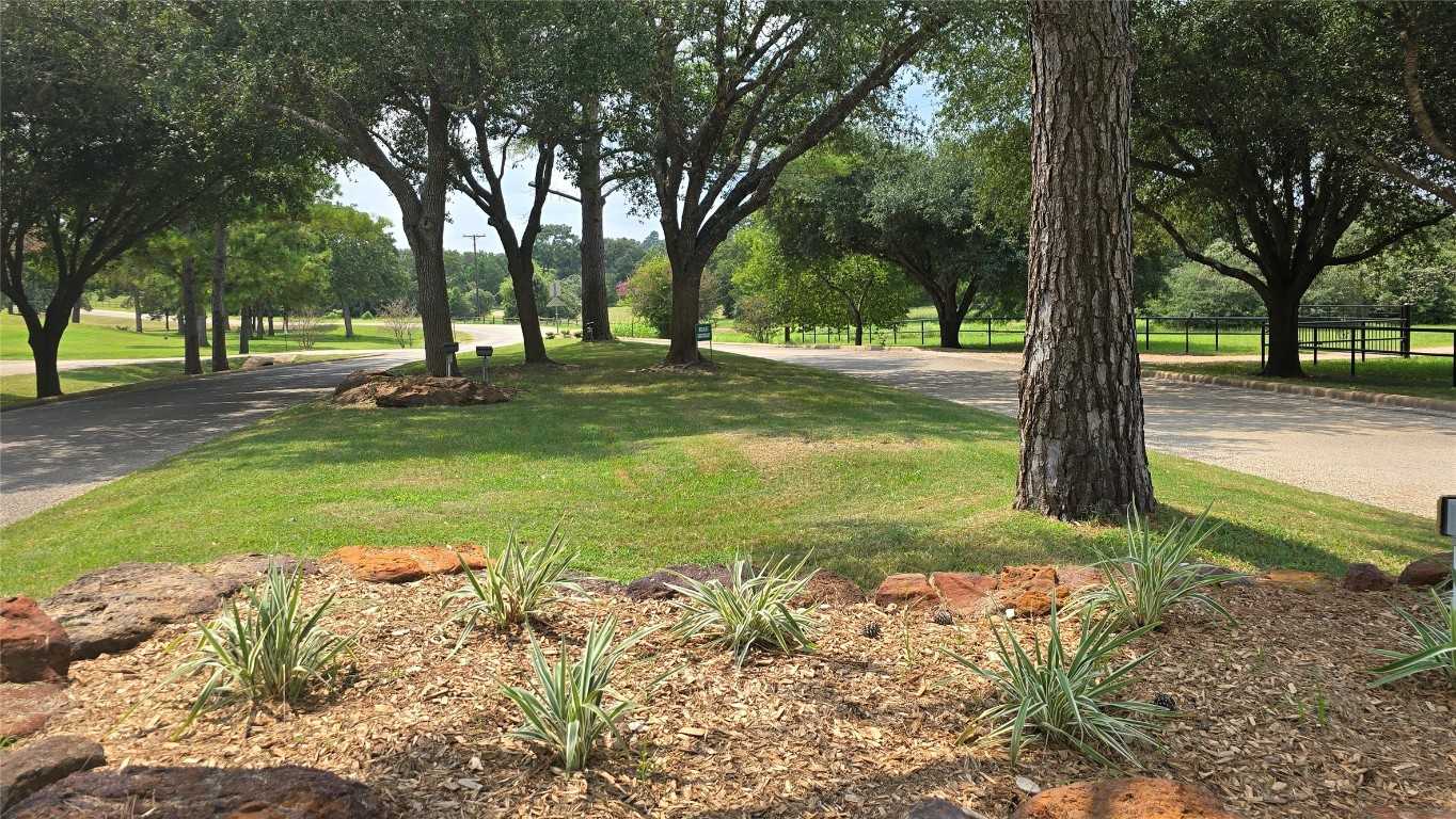 photo 2: 218 Wrangler Lane, Smithville TX 78957