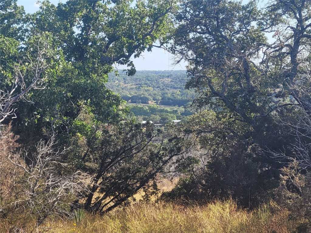 photo 1: TBD Ridge Road, Burnet TX 78611