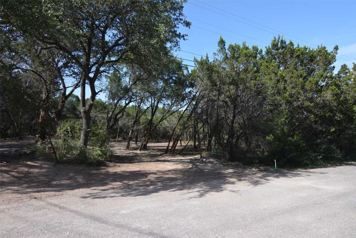 photo 2: 18204 Easy Street, Jonestown TX 78645