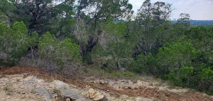 photo 2: 2303 Pace Bend Road S, Spicewood TX 78669