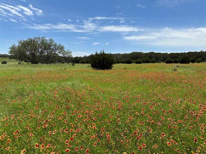 photo 1: Lot 158 Addax Court, Lampasas TX 76550