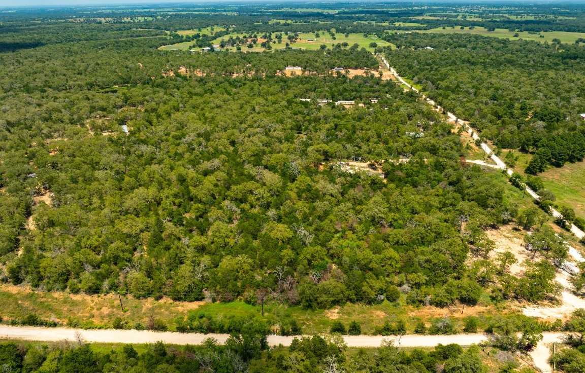 photo 3: TBD (Lot 1) Edgewood Trail, Paige TX 78659