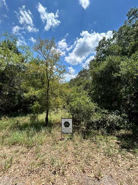 photo 3: LOT 448 Indian Summer, Spicewood TX 78669