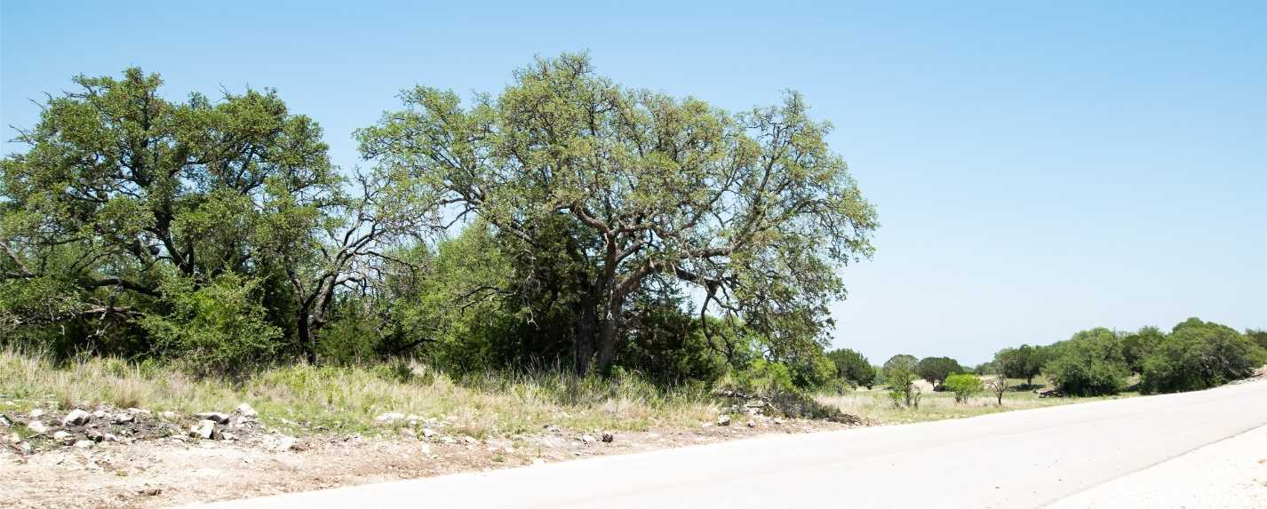 photo 3: Lot 135 Shin Oak Drive, Lampasas TX 76550