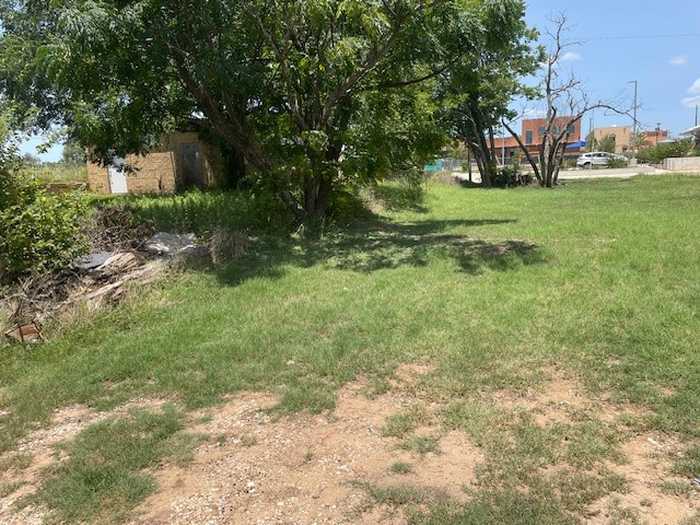 photo 9: 209 Central Avenue, Elgin TX 78621