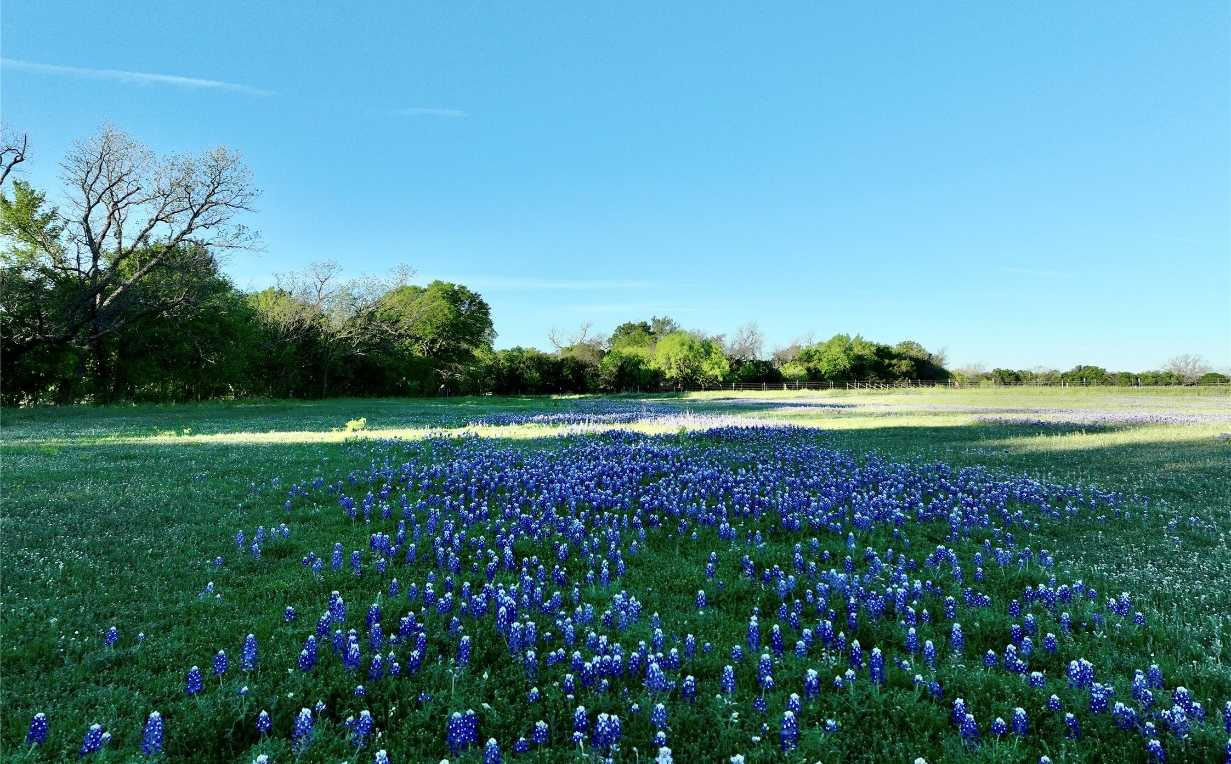 photo 2: 0 TBD County Road 111, Lampasas TX 76550