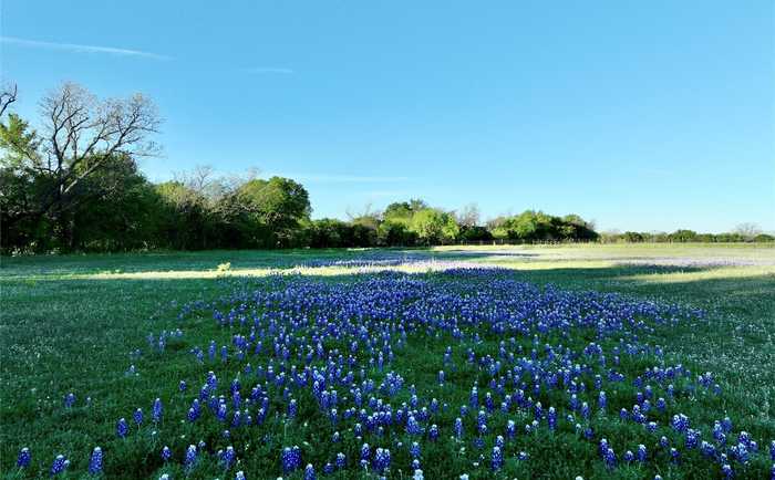 photo 2: 0 TBD County Road 111, Lampasas TX 76550