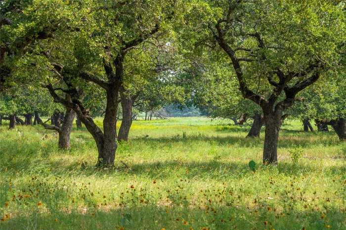 photo 2: FM 2340, Burnet TX 78611