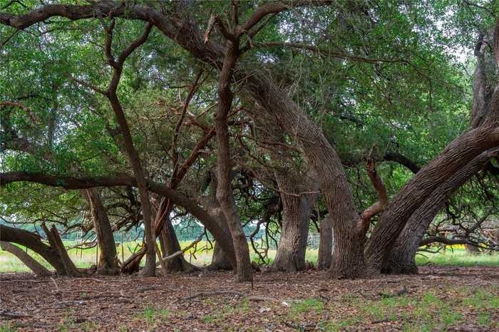 photo 37: FM 2340, Burnet TX 78611