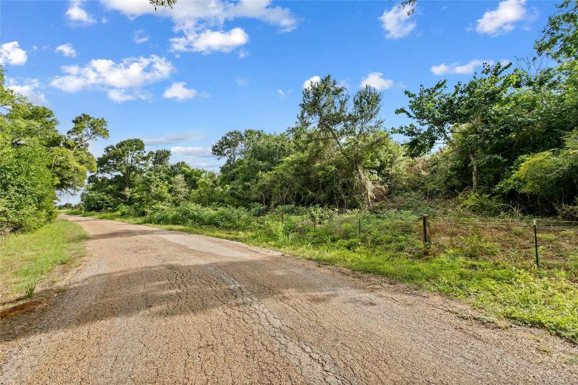 photo 3: TBD County Road 401, Lexington TX 78947