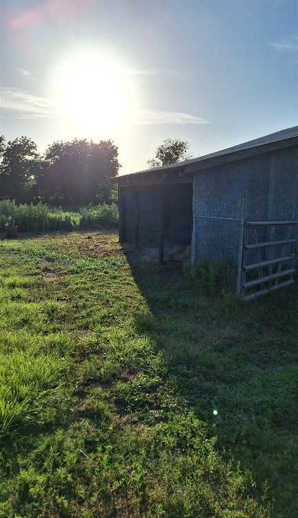 photo 3: TBD S Waco Street, Giddings TX 78942