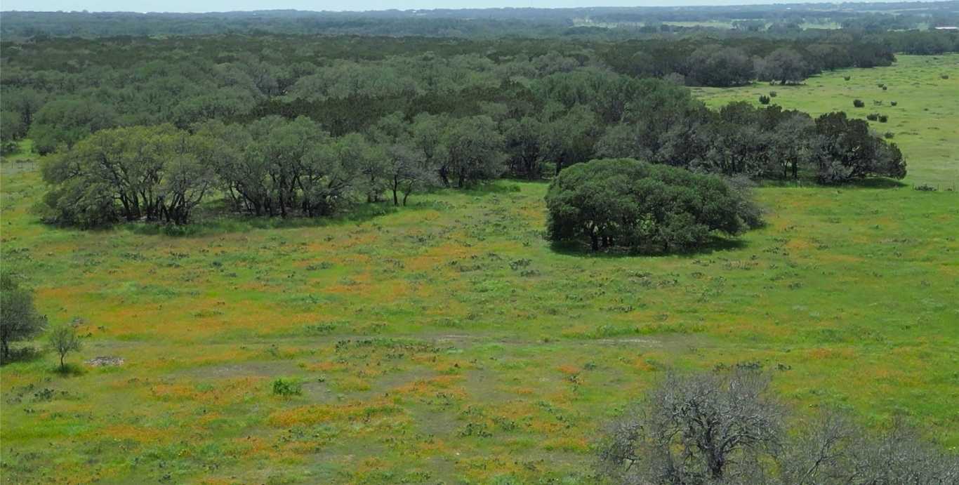 photo 2: TBD County Road 103 Unit 5, Lampasas TX 76550