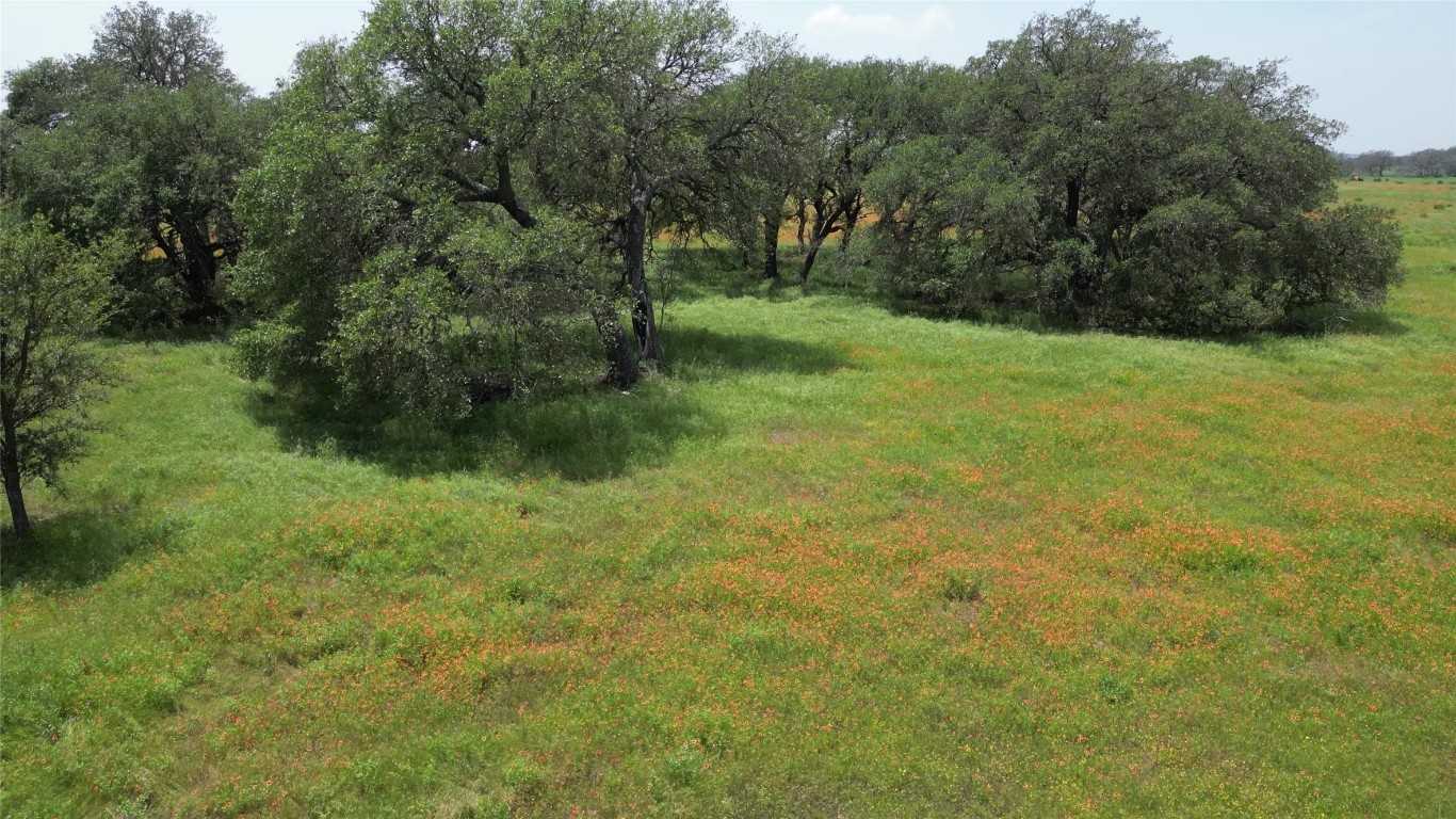 photo 3: TBD County Road 103 Unit 5, Lampasas TX 76550