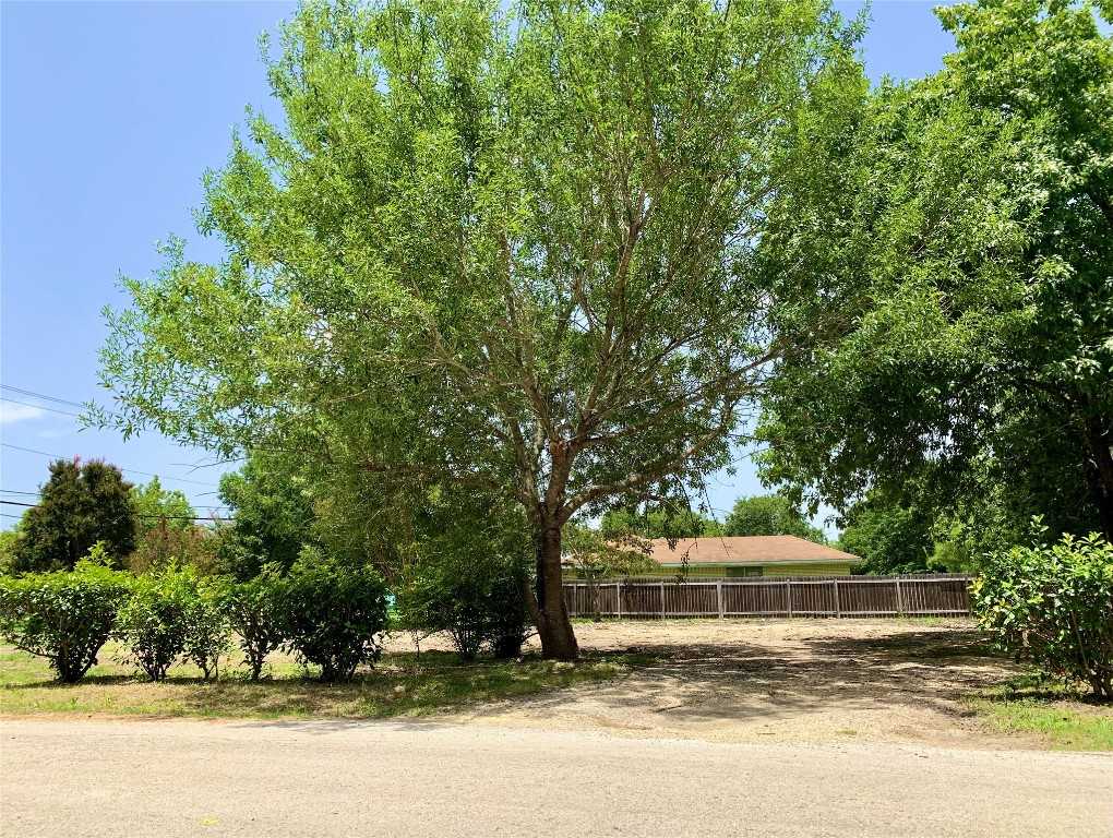 photo 2: 204 N Rio Grande Street, Lockhart TX 78644