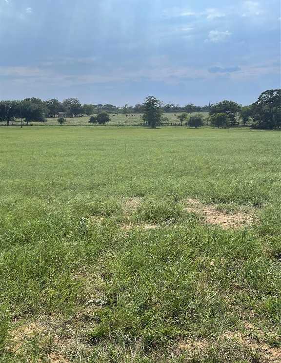 photo 2: 153 HALL Road, Luling TX 78648