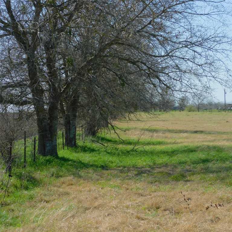 photo 3: 1000 County Road 422, Taylor TX 76574