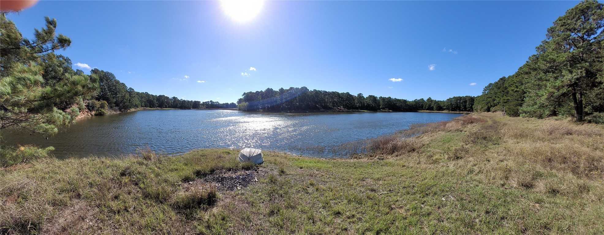 photo 3: 730 Pine Valley Loop, Smithville TX 78957