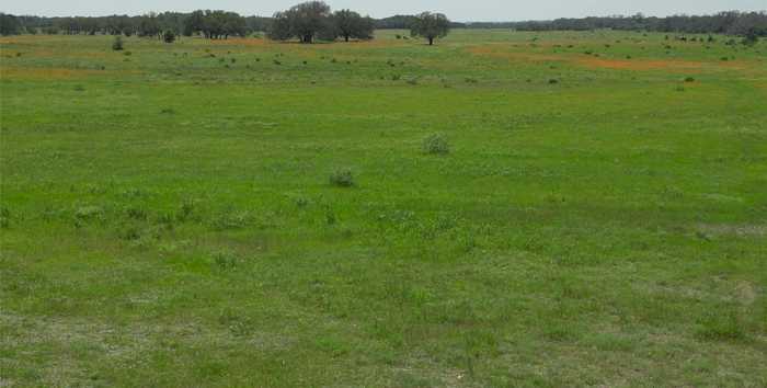 photo 2: CR 0103 Unit 2, Lampasas TX 76550