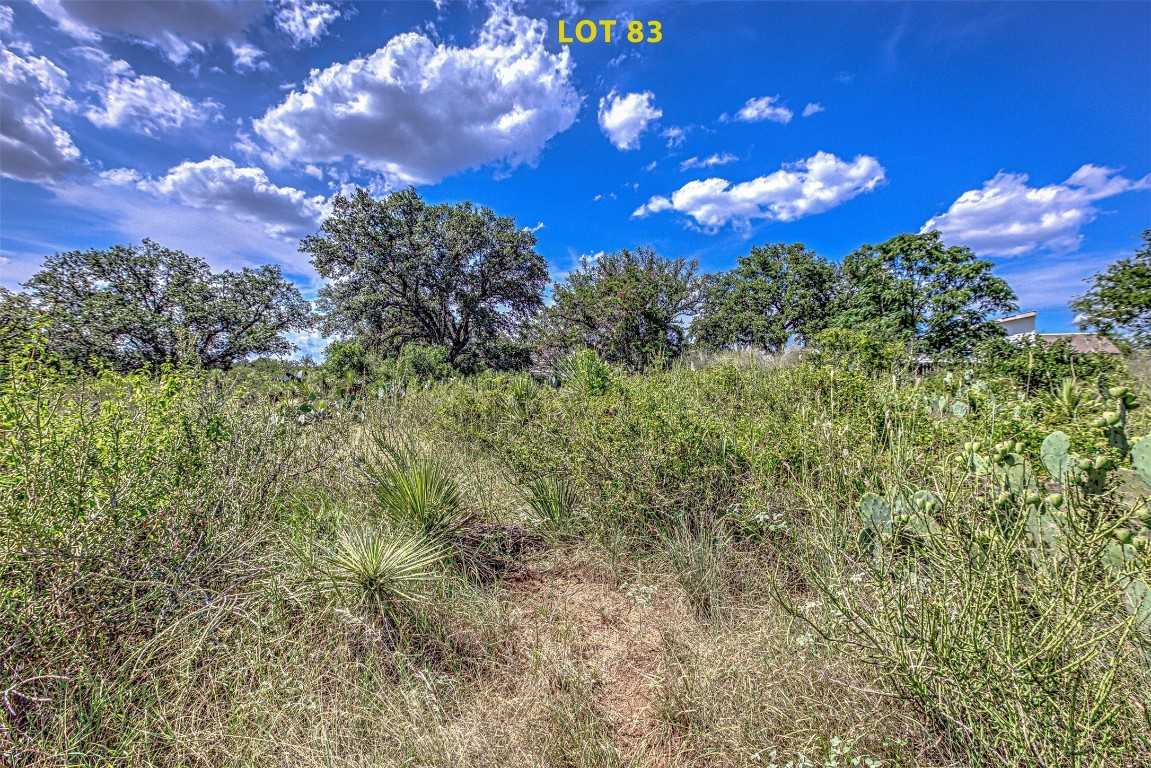 photo 3: Lot 83 W Bluebriar Drive, Granite Shoals TX 78654