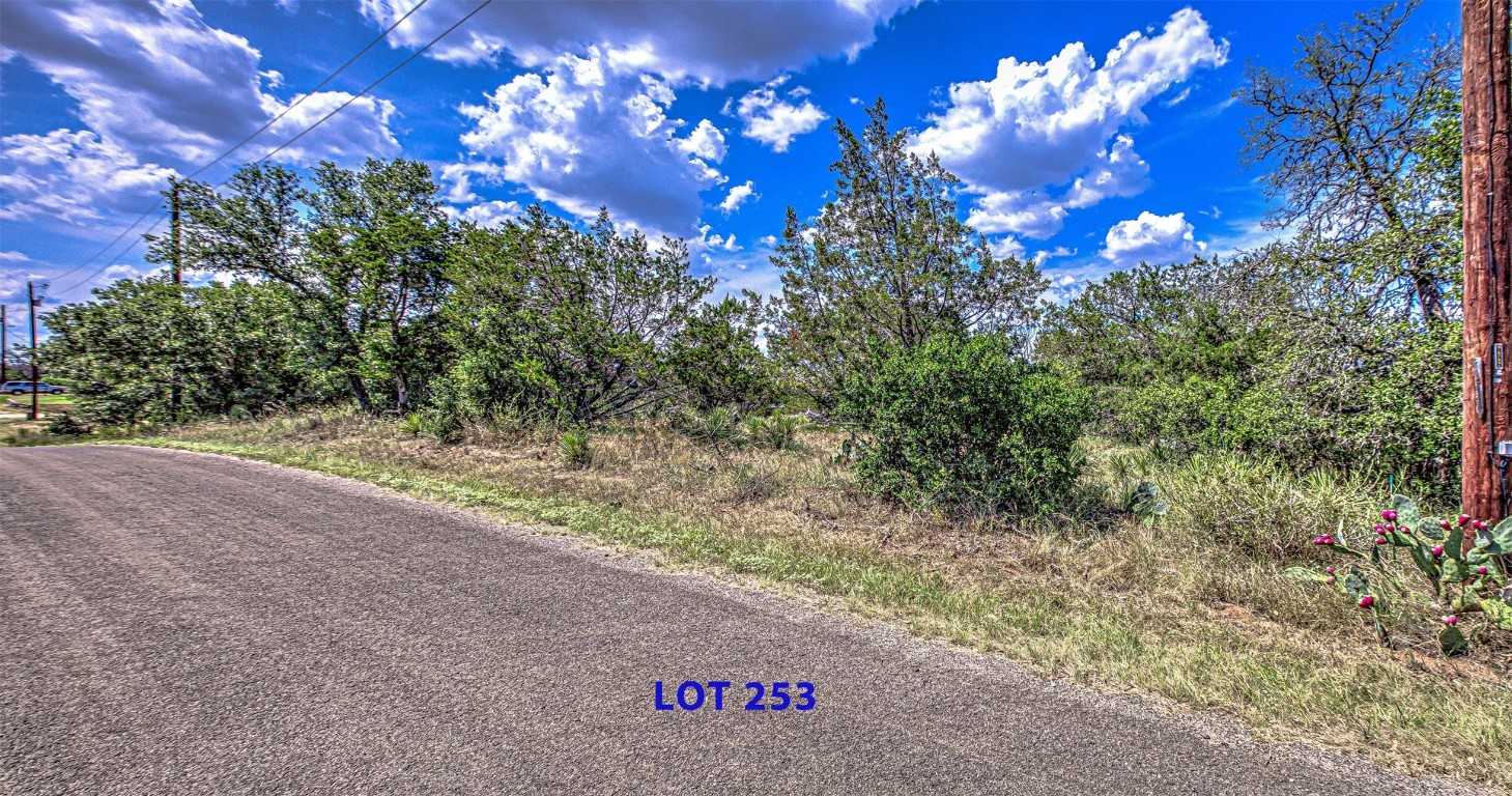 photo 3: Lot 253 Briarway Drive, Granite Shoals TX 78654