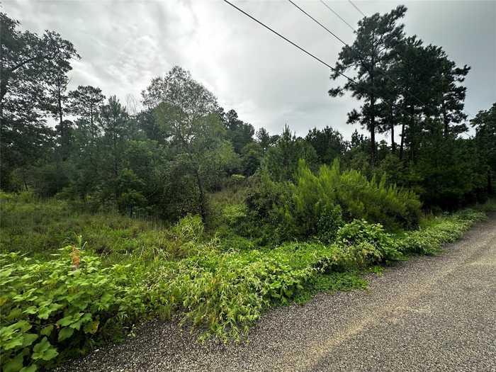 photo 2: Lot 1510 Haleakala Lane, Bastrop TX 78602