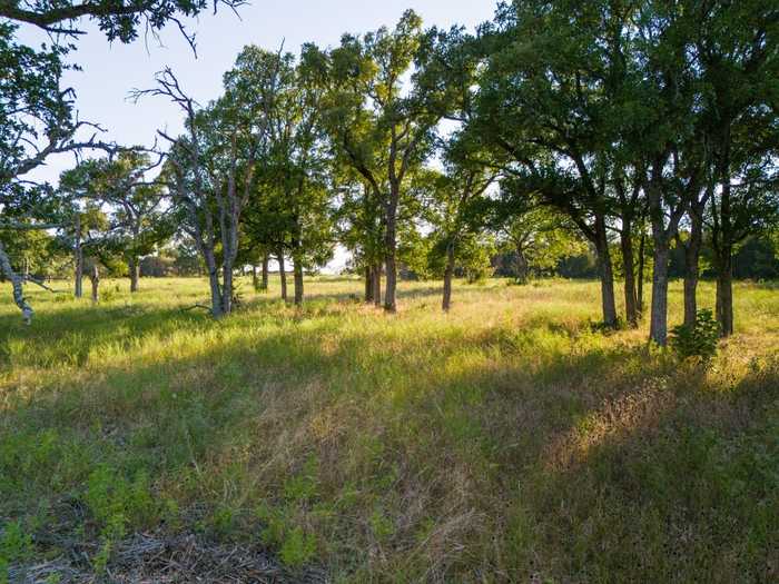 photo 1: 119 Pecan Creek Drive, Lampasas TX 76550