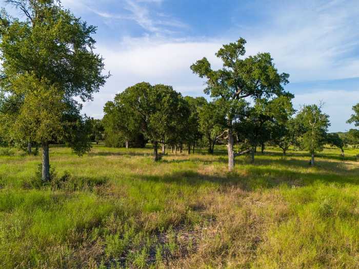 photo 2: 119 Pecan Creek Drive, Lampasas TX 76550