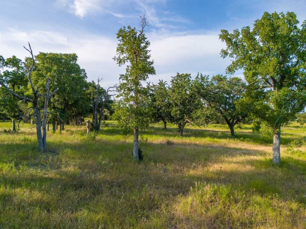 photo 3: 119 Pecan Creek Drive, Lampasas TX 76550