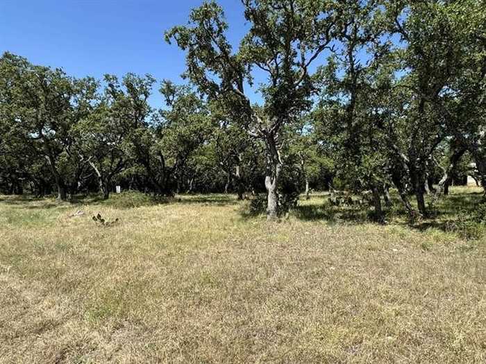 photo 2: 159 Axis Way, Lampasas TX 76550