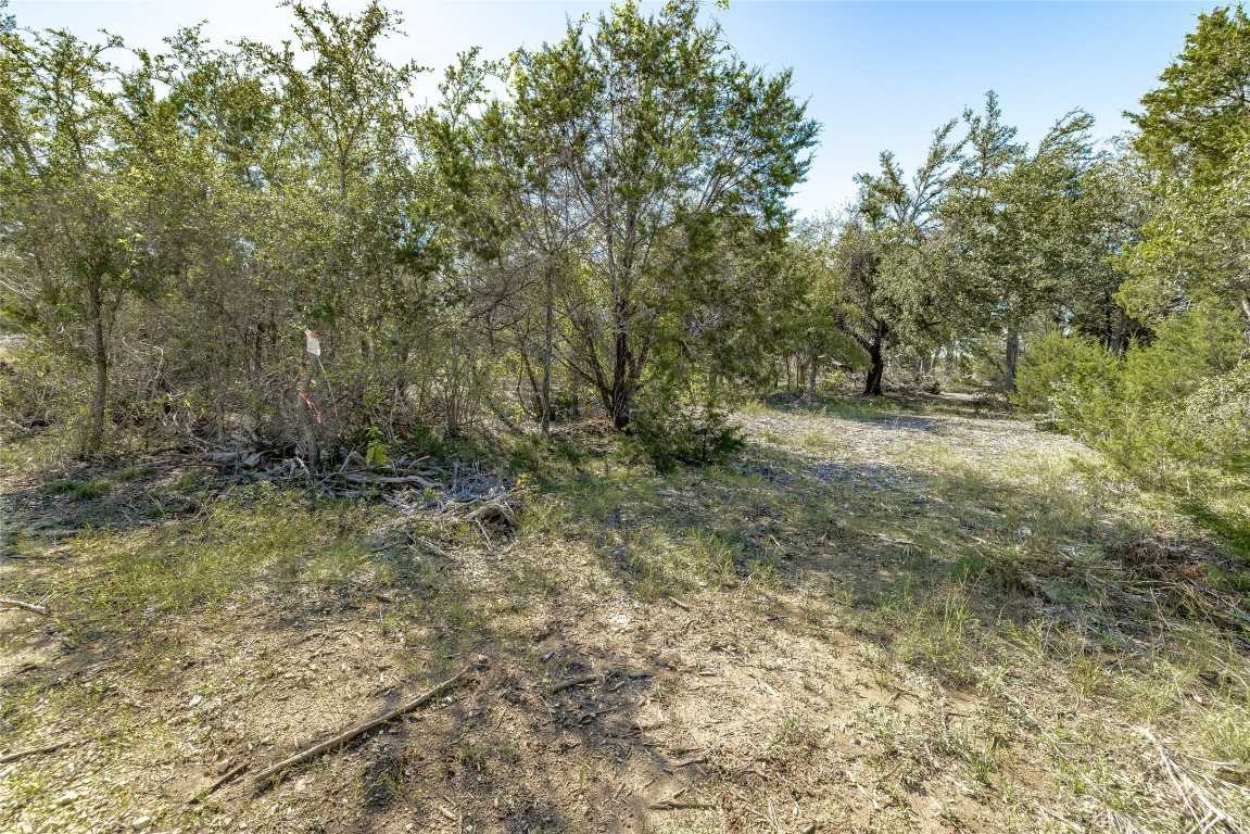 photo 2: TBD County Road 281 Lot 3, Leander TX 78641