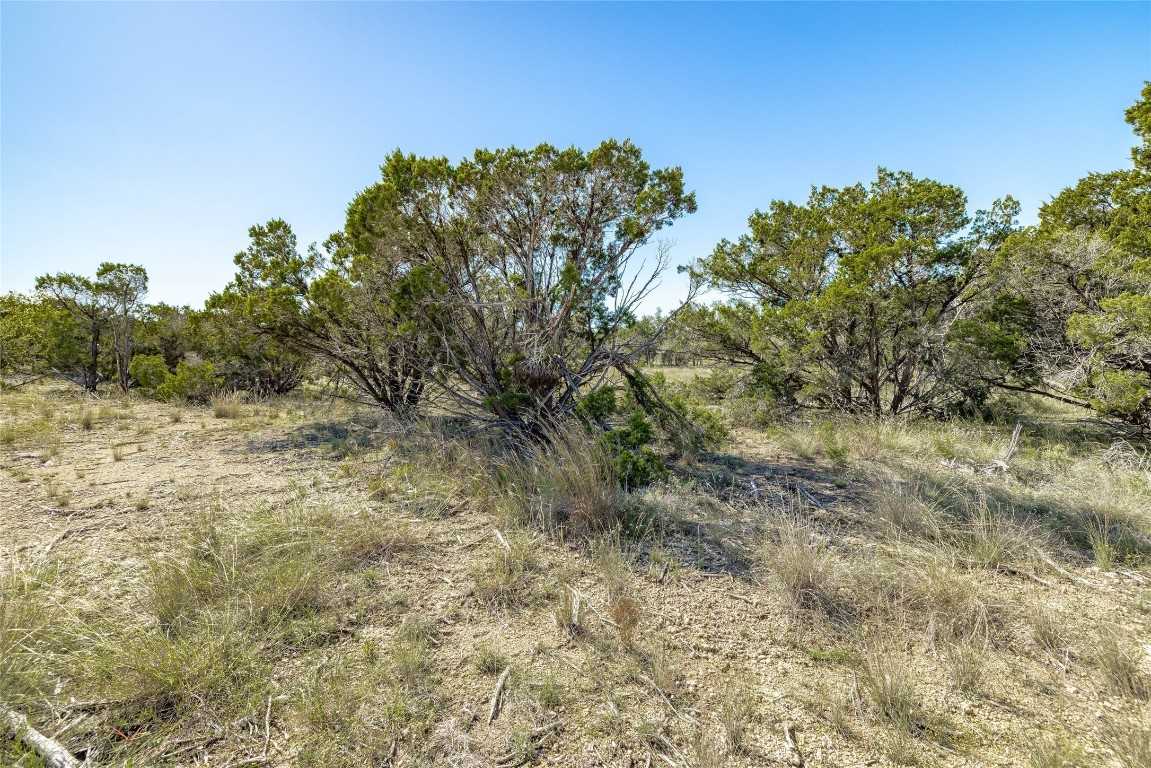 photo 3: TBD County Road 281 Lot 3, Leander TX 78641