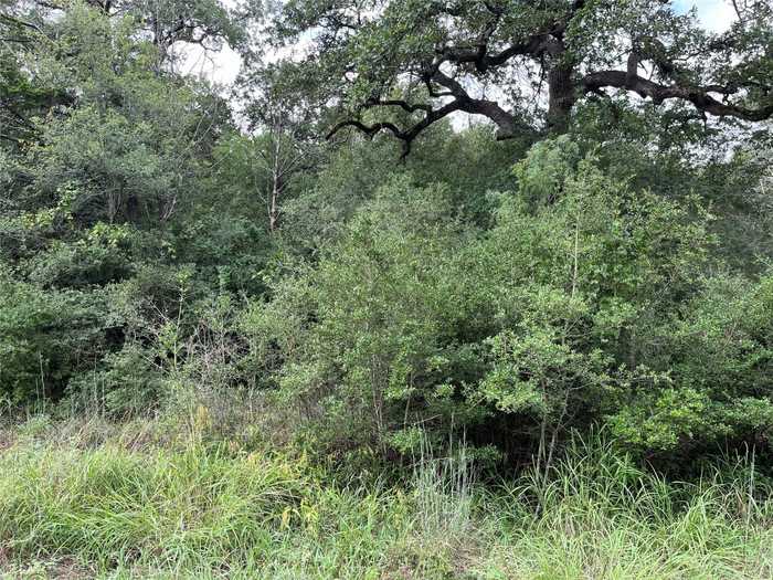 photo 1: Lot 764 Nene Lane, Bastrop TX 78602