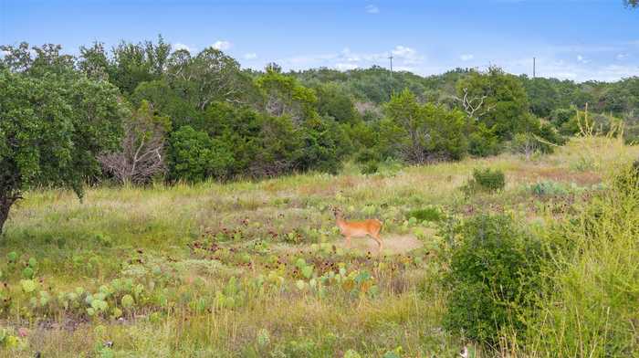 photo 1: TBD W RR 962, Round Mountain TX 78663