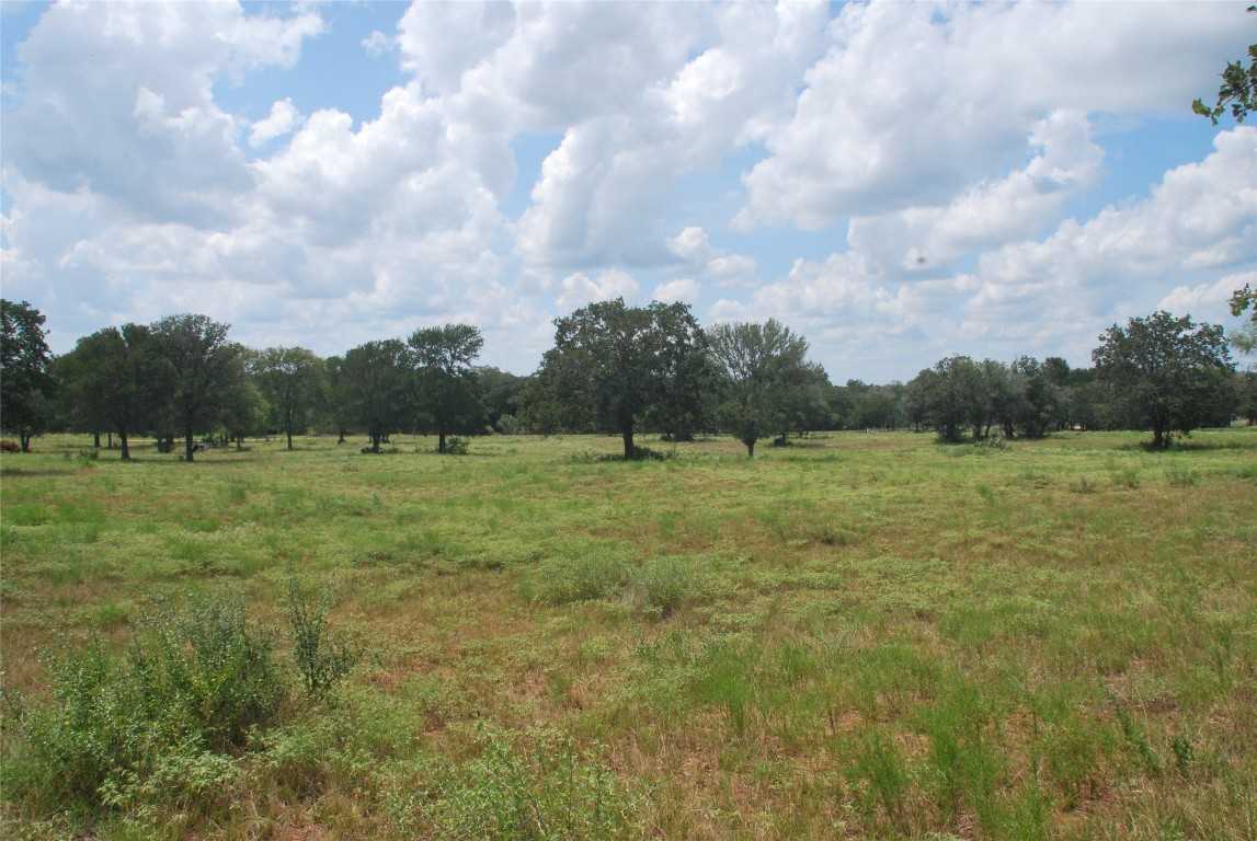 photo 3: TBD N State Highway 95 Highway, Flatonia TX 78941