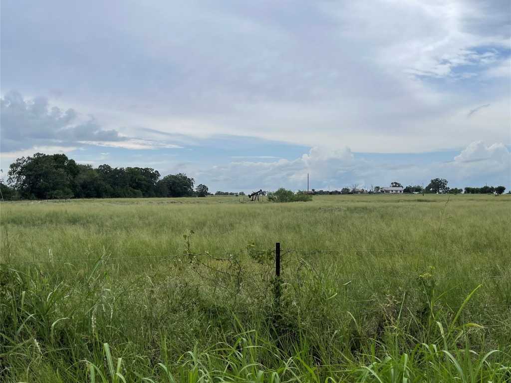 photo 2: 6495 GANDER SLOUGH Road, Luling TX 78648