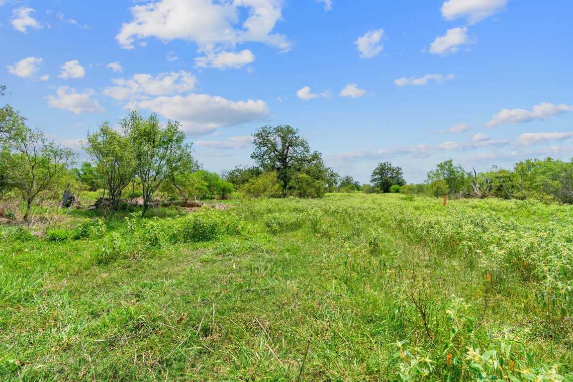 photo 3: Lot 1 County Road 406, Flatonia TX 78632