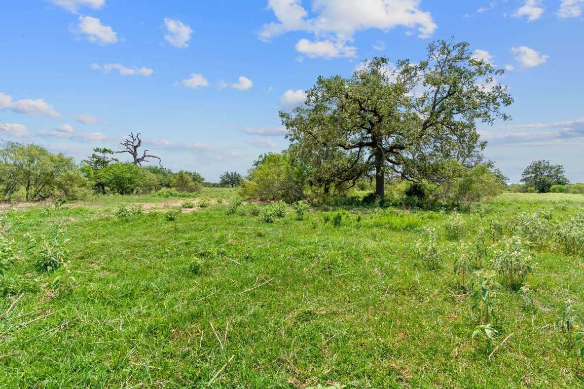 photo 3: Lot 20 County Road 401, Flatonia TX 78632