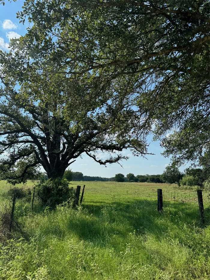 photo 1: 117 County Rd, Giddings TX 77853