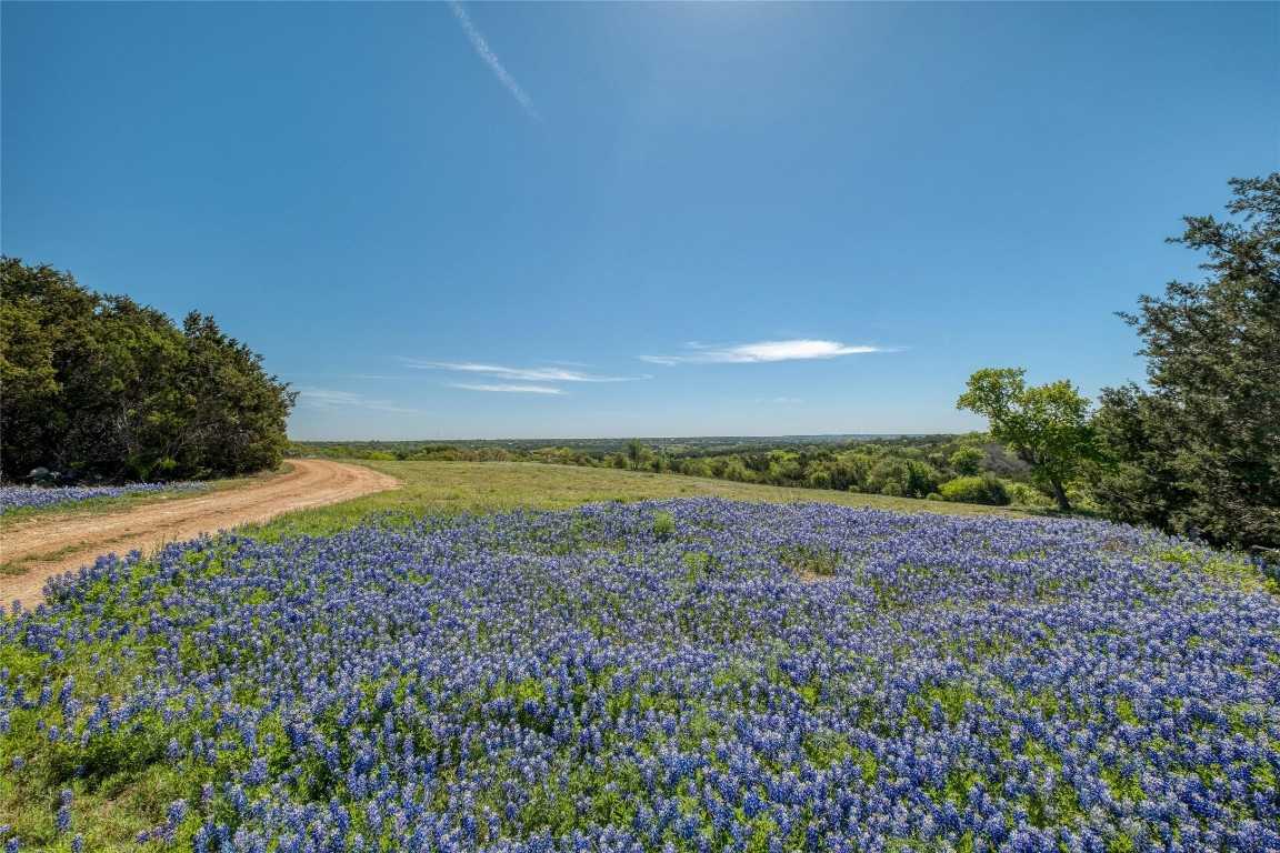 photo 3: 285 McReynolds Ranch Road, Burnet TX 78611