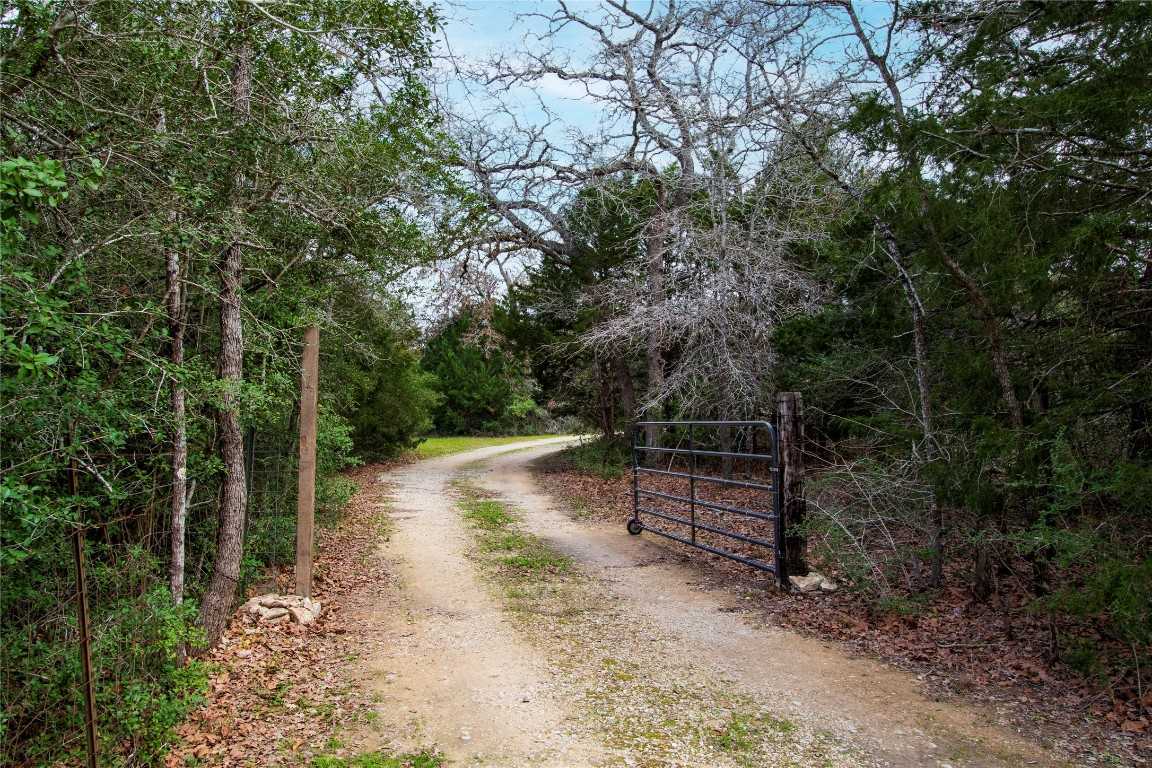 photo 3: 5100 Wood Duck Drive, Flatonia TX 78941