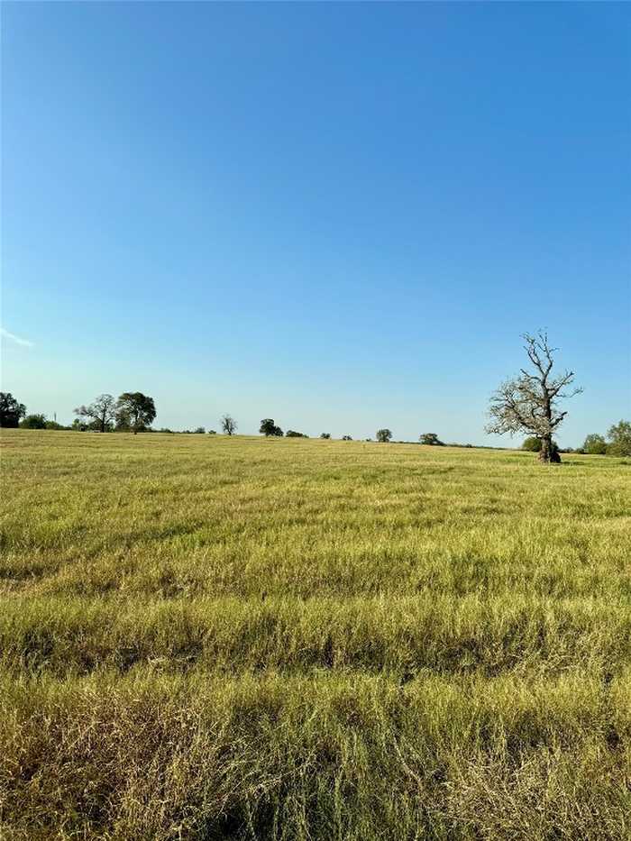 photo 2: TBD LOT 10 TENNEY CREEK Road, Luling TX 78648