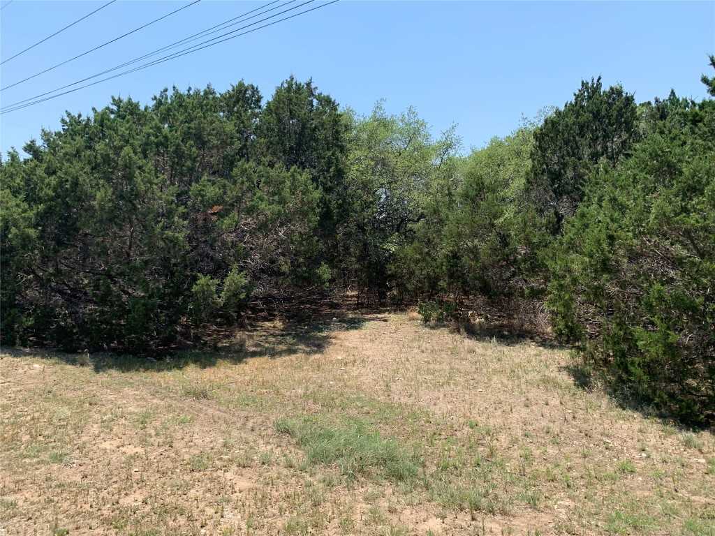 photo 2: 22300 Briarview Drive, Spicewood TX 78669