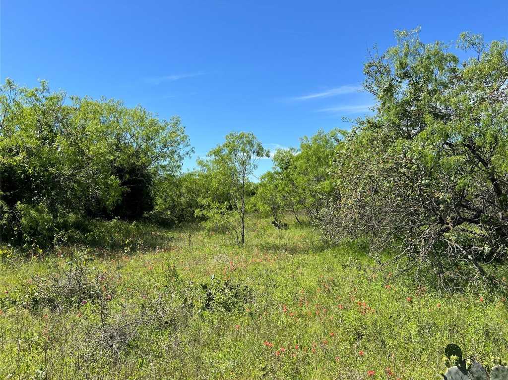 photo 3: 1375 Plant Road, Luling TX 78648