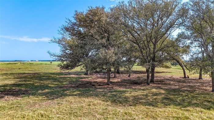 photo 2: TBD County Road 326 (Tract 7), Giddings TX 78942