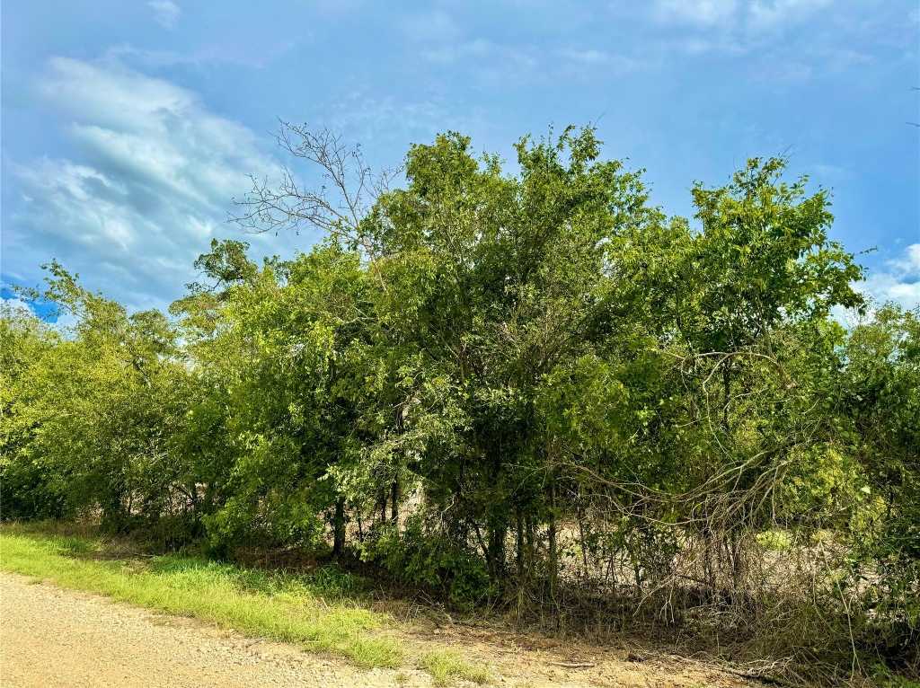 photo 2: TBD Tract 12 tenney creek Road, Luling TX 78648