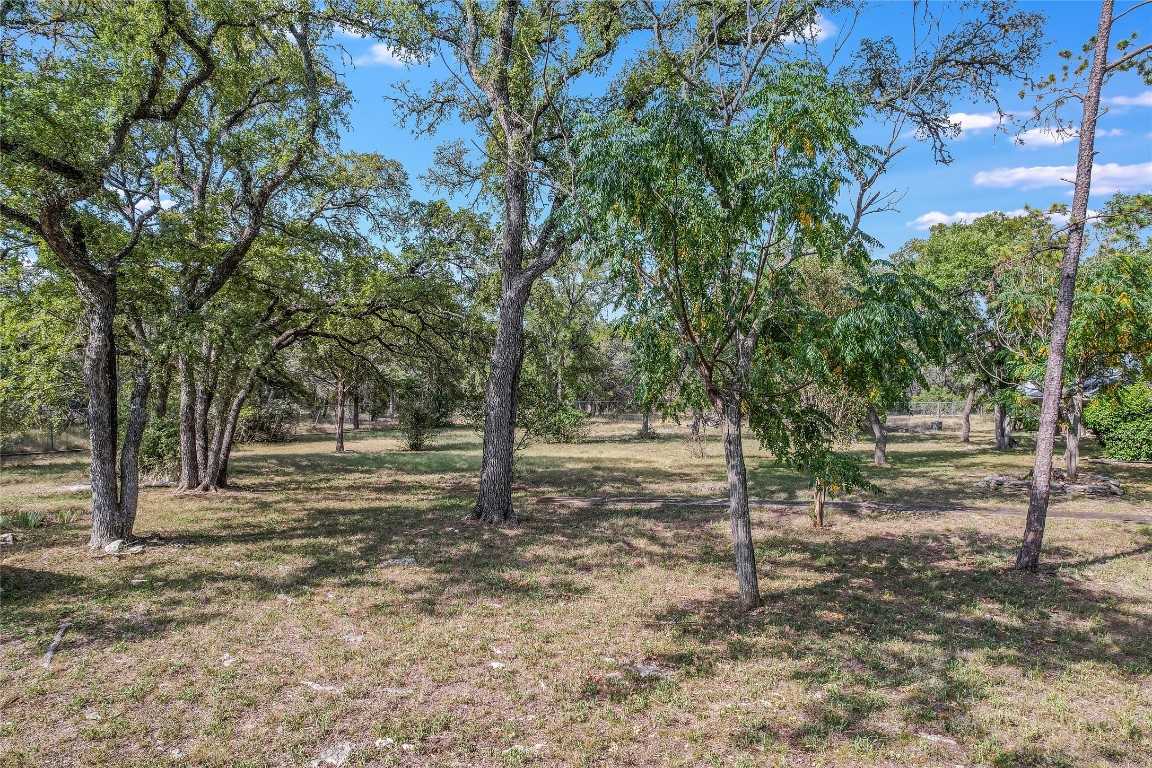 photo 3: 810 Sandy Point Road, Wimberley TX 78676