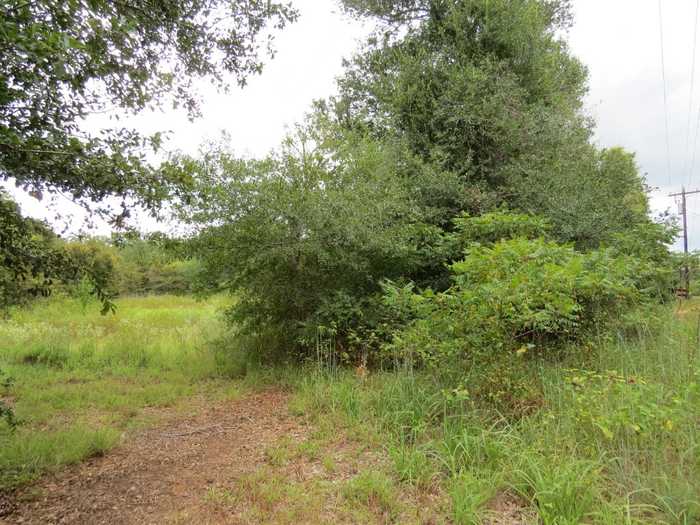 photo 1: TBD Private Road 7054, Gause TX 77857