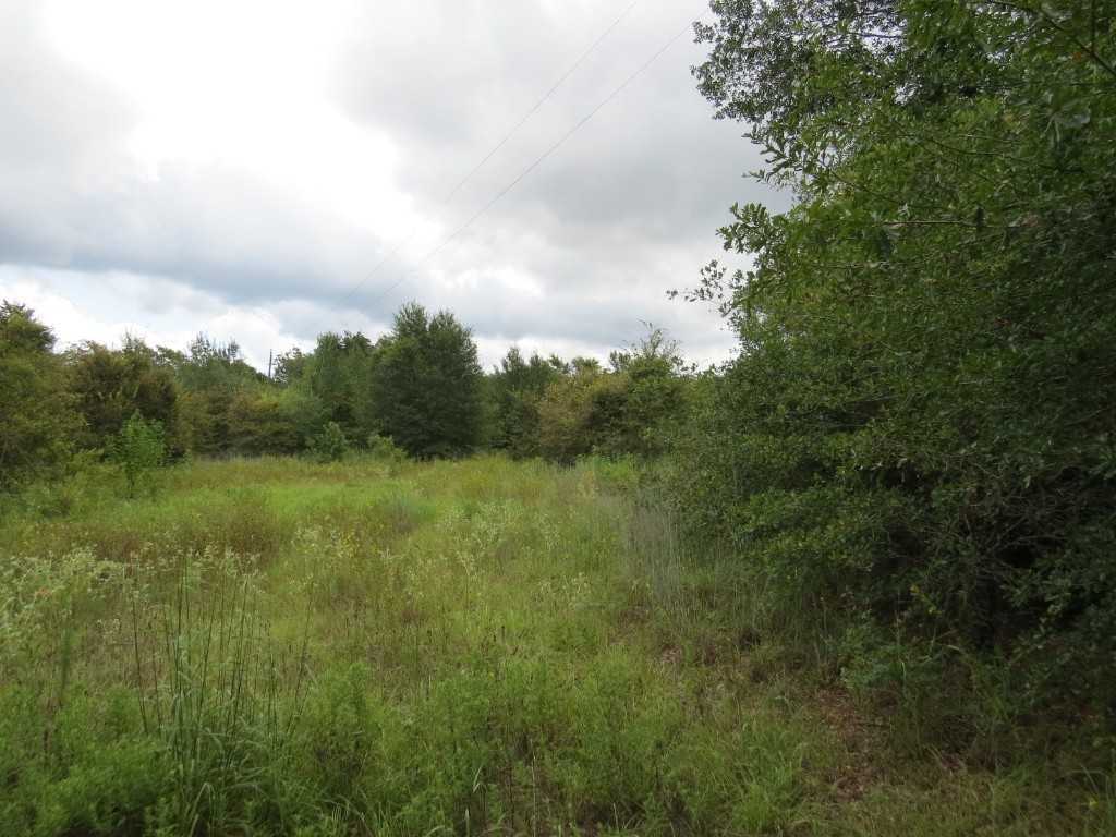 photo 2: TBD Private Road 7054, Gause TX 77857